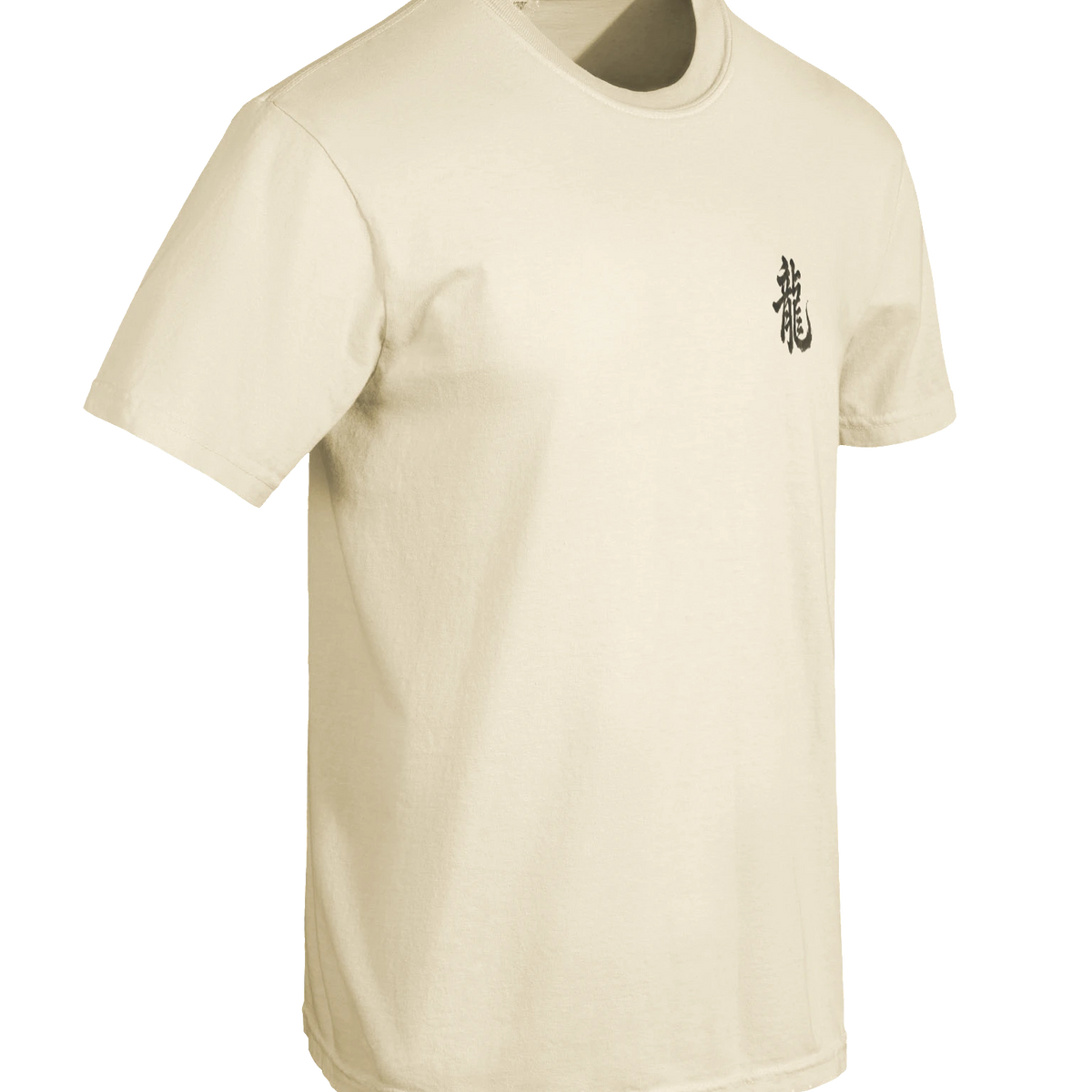 Dragon of the Fallen Castle - T-Shirt