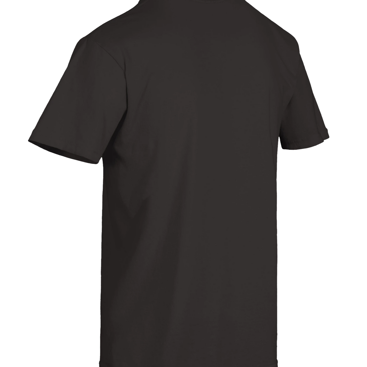 Dragon of the Fallen Castle - T-Shirt