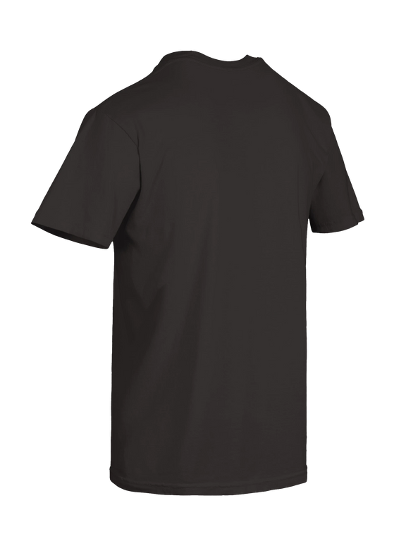 Dragon of the Fallen Castle - T-Shirt