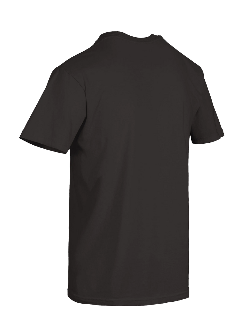 Dragon of the Fallen Castle - T-Shirt