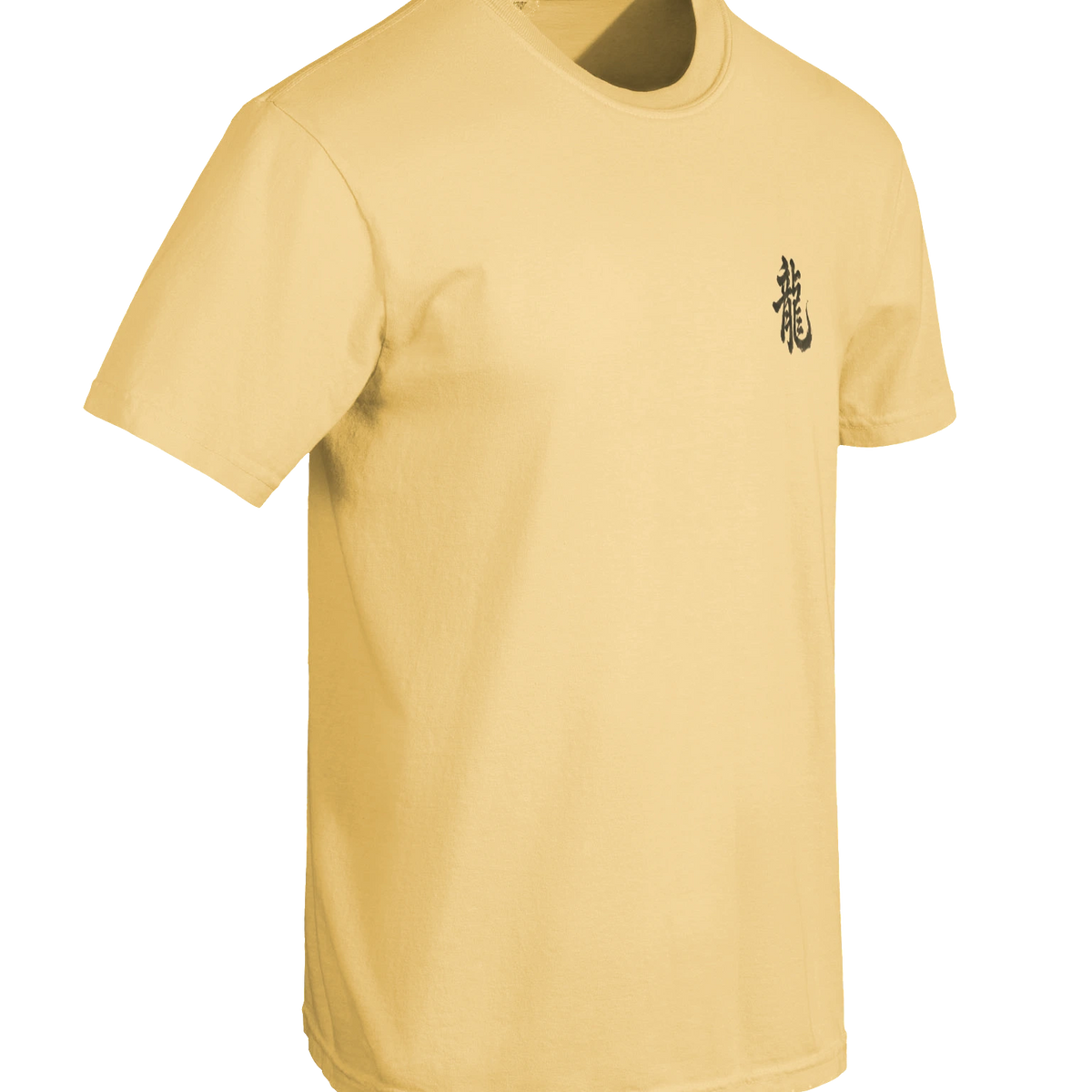 Dragon of the Fallen Castle - T-Shirt