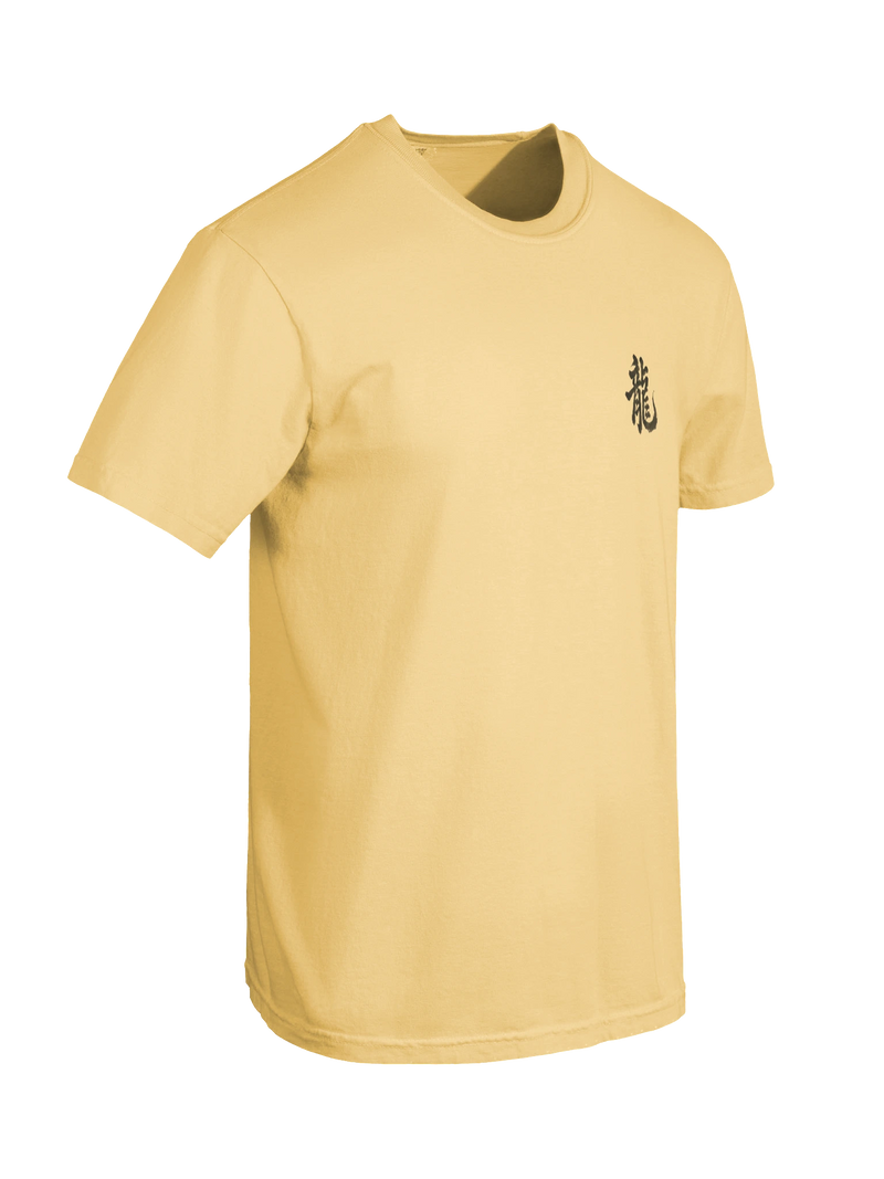 Dragon of the Fallen Castle - T-Shirt