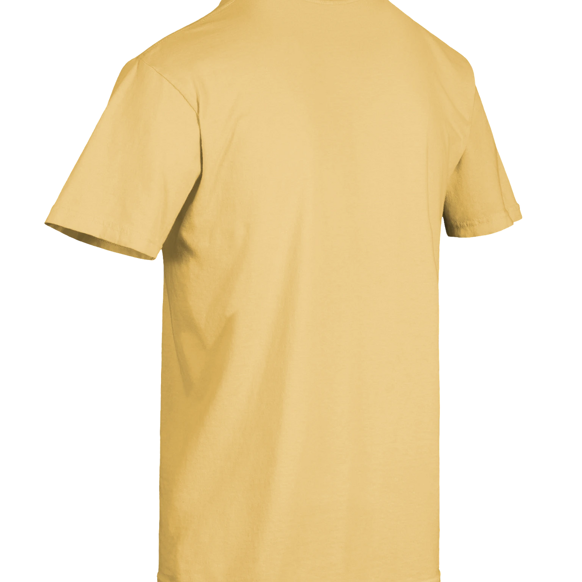 Dragon of the Fallen Castle - T-Shirt