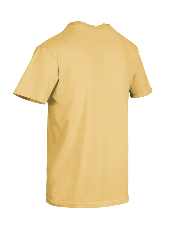 Dragon of the Fallen Castle - T-Shirt