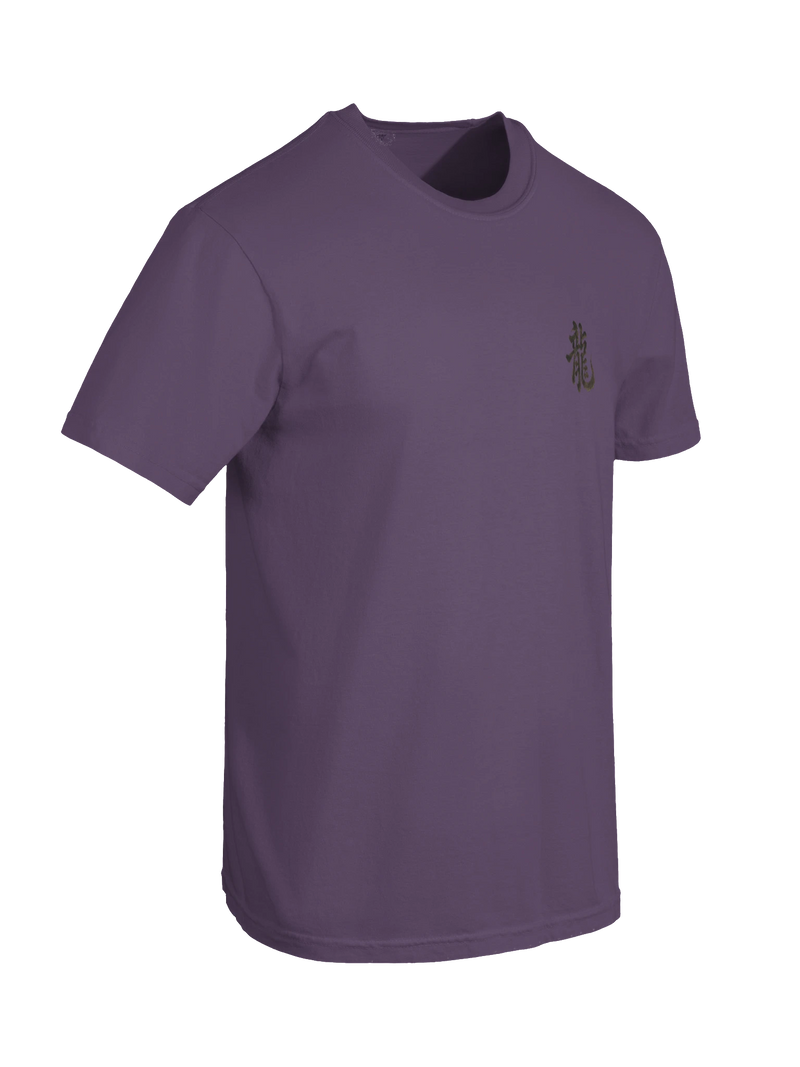 Dragon of the Fallen Castle - T-Shirt