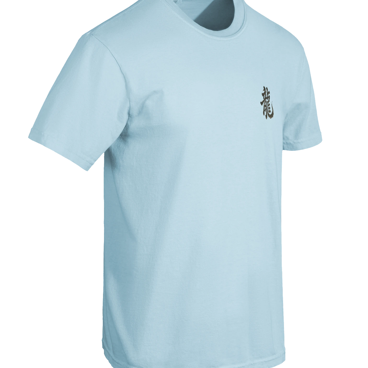 Dragon of the Fallen Castle - T-Shirt