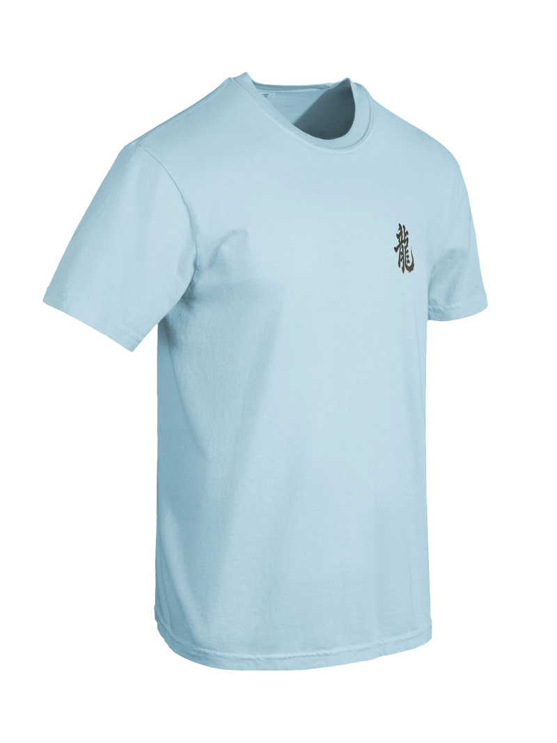 Dragon of the Fallen Castle - T-Shirt