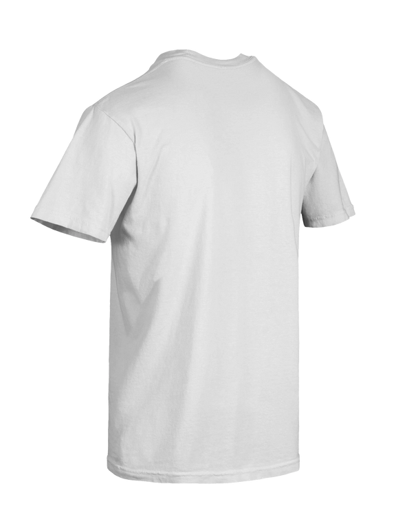 Dragon of the Fallen Castle - T-Shirt