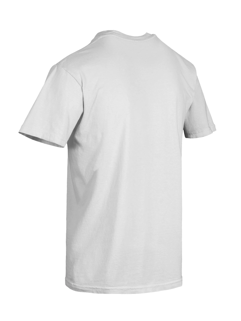 Dragon of the Fallen Castle - T-Shirt