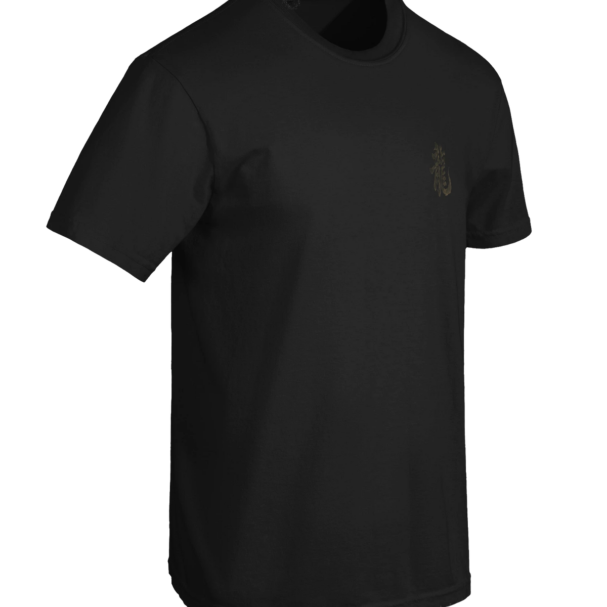 Dragon of the Fallen Castle - T-Shirt