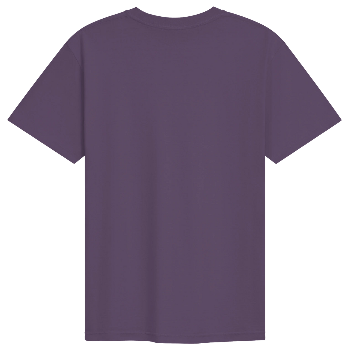 Dragon of the Fallen Castle - T-Shirt