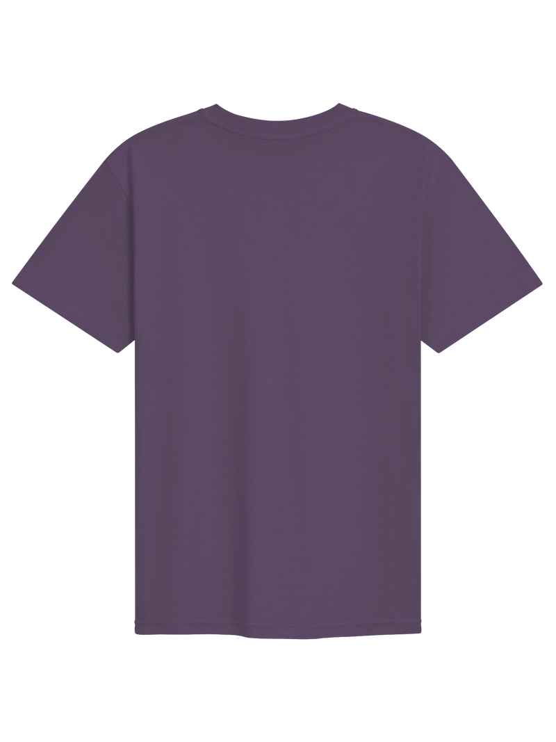 Dragon of the Fallen Castle - T-Shirt