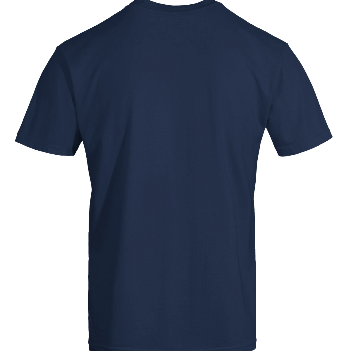 Dragon of the Fallen Castle - T-Shirt