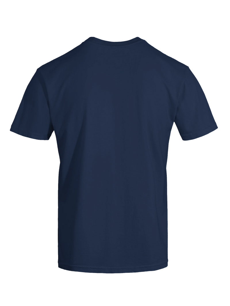 Dragon of the Fallen Castle - T-Shirt