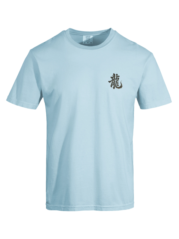Dragon of the Fallen Castle - T-Shirt