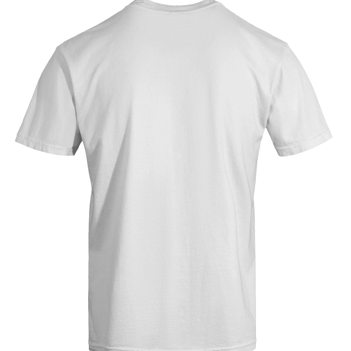 Dragon of the Fallen Castle - T-Shirt