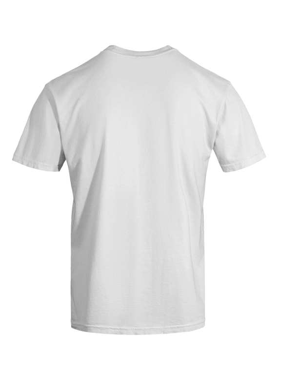 Dragon of the Fallen Castle - T-Shirt