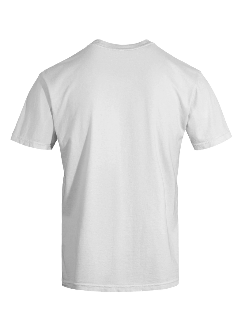 Dragon of the Fallen Castle - T-Shirt
