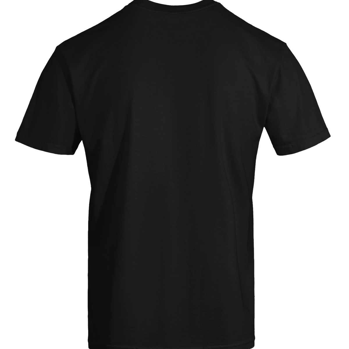 Dragon of the Fallen Castle - T-Shirt