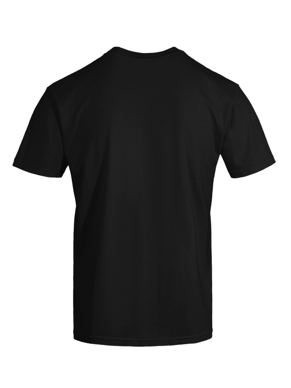 Dragon of the Fallen Castle - T-Shirt