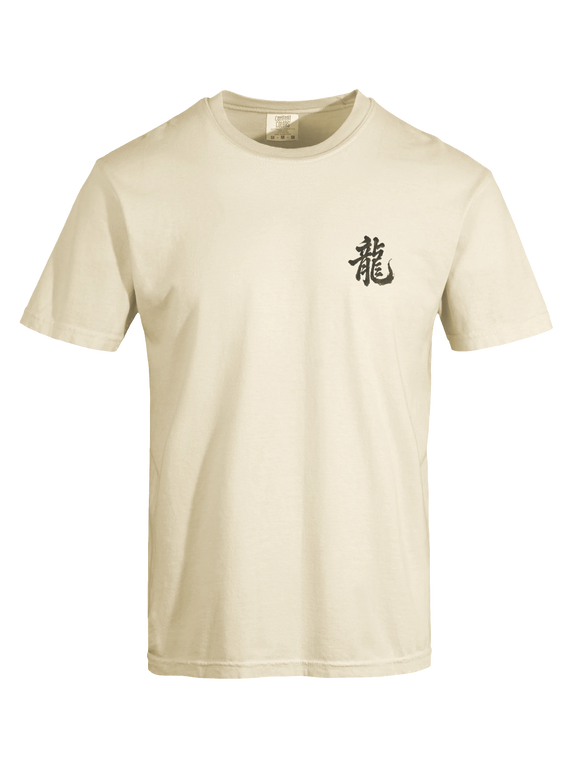 Dragon of the Fallen Castle - T-Shirt