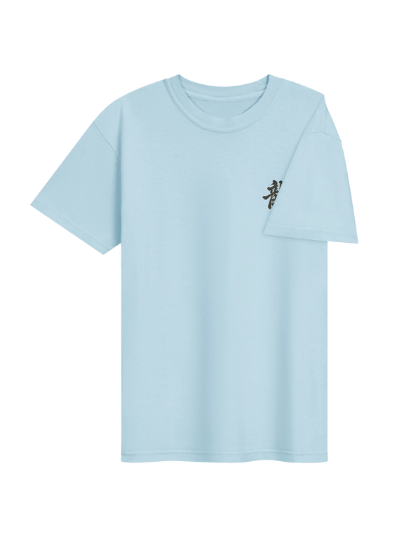 Dragon of the Fallen Castle - T-Shirt
