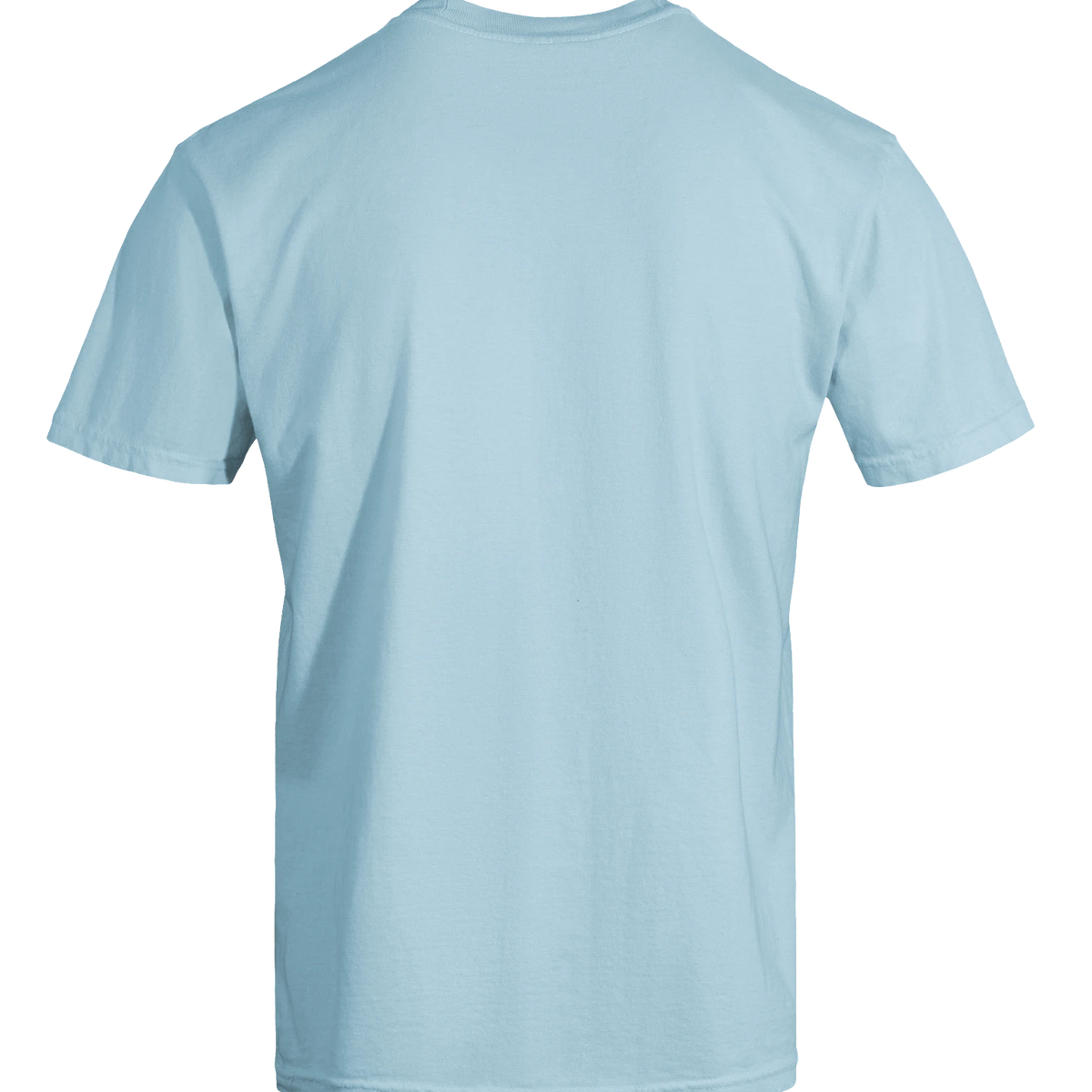 Dragon of the Fallen Castle - T-Shirt