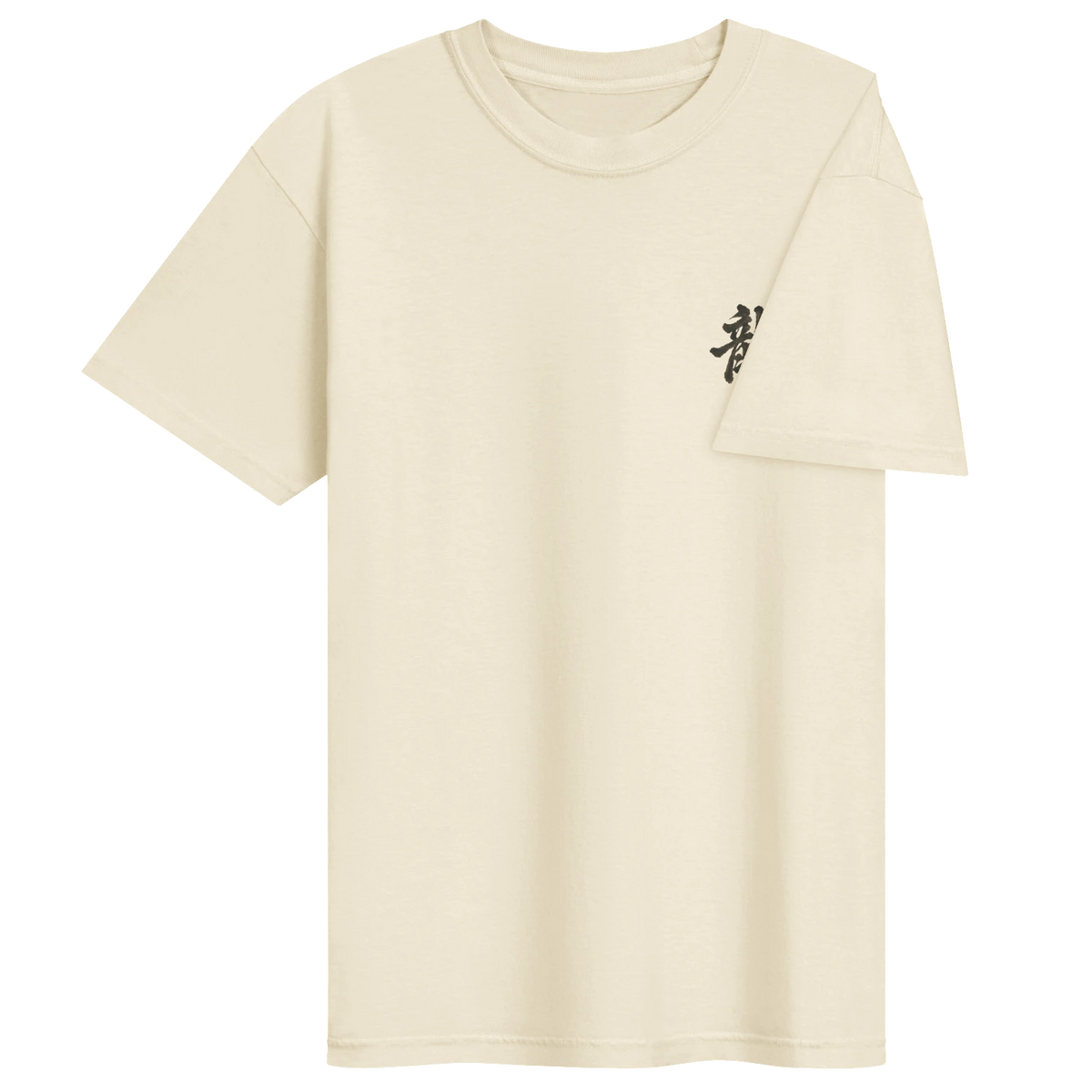 Dragon of the Fallen Castle - T-Shirt