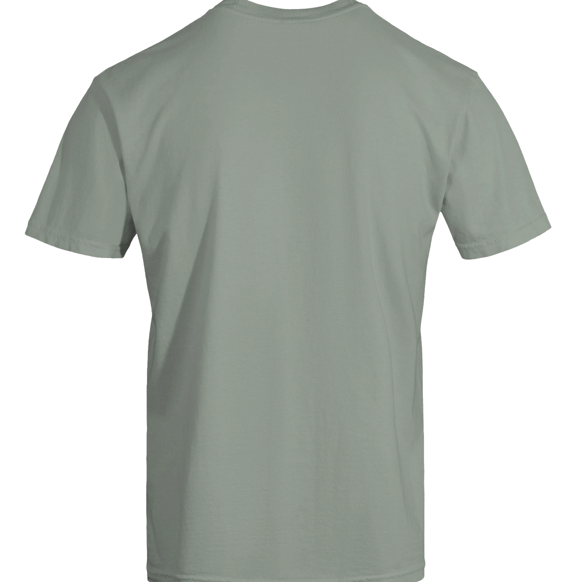 Dragon of the Fallen Castle - T-Shirt