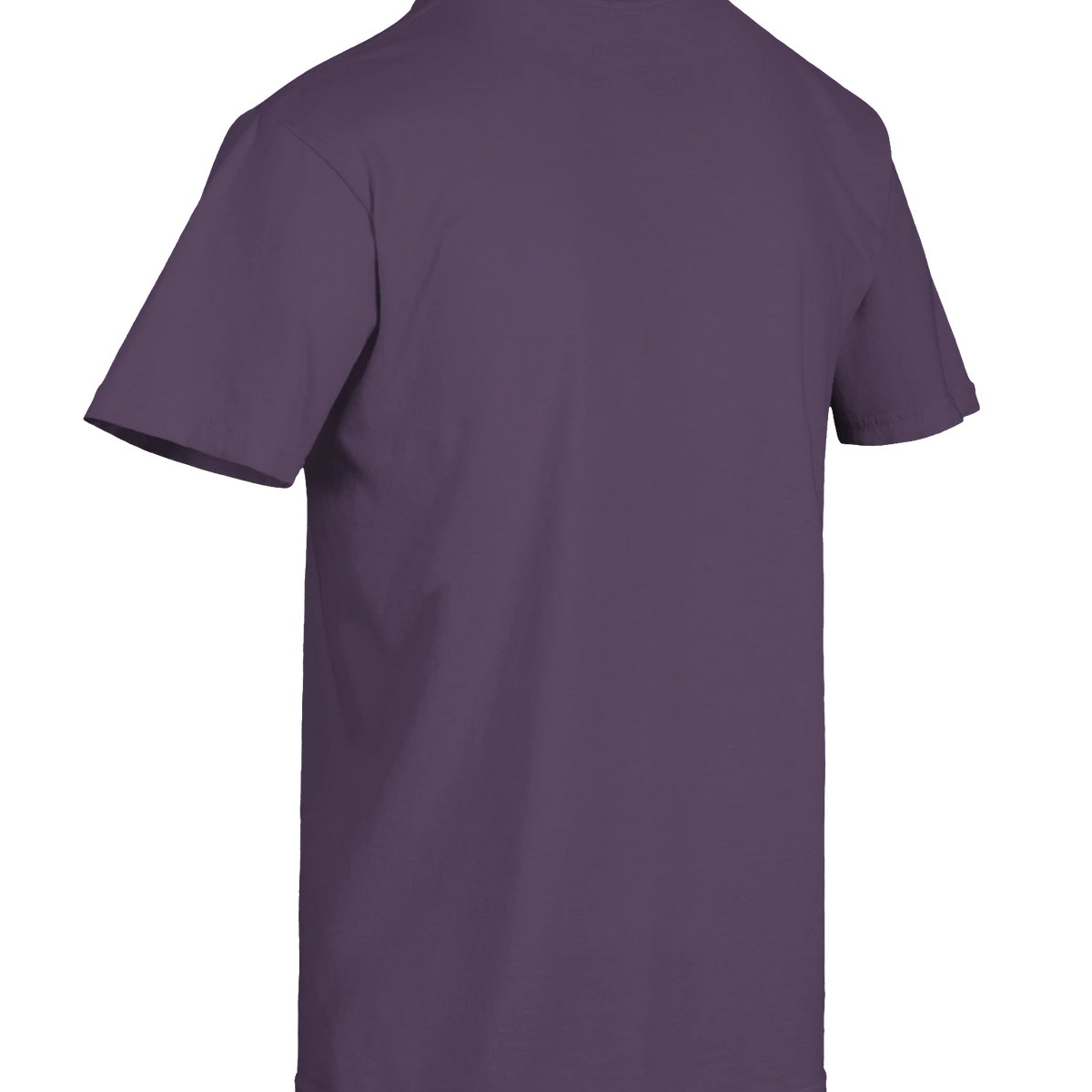Dragon of the Fallen Castle - T-Shirt