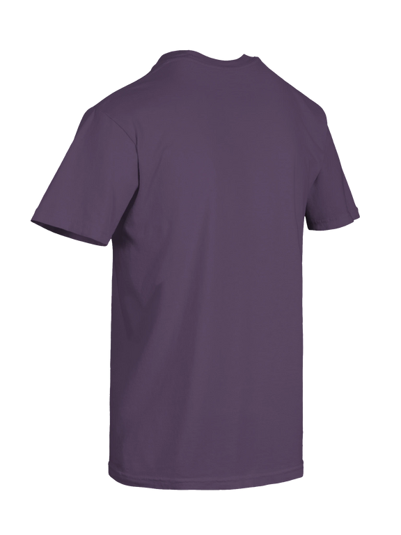 Dragon of the Fallen Castle - T-Shirt