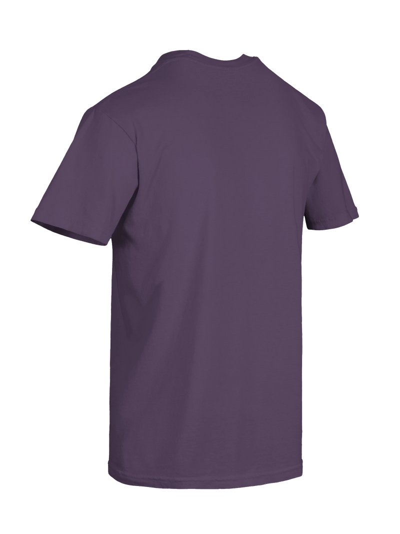 Dragon of the Fallen Castle - T-Shirt