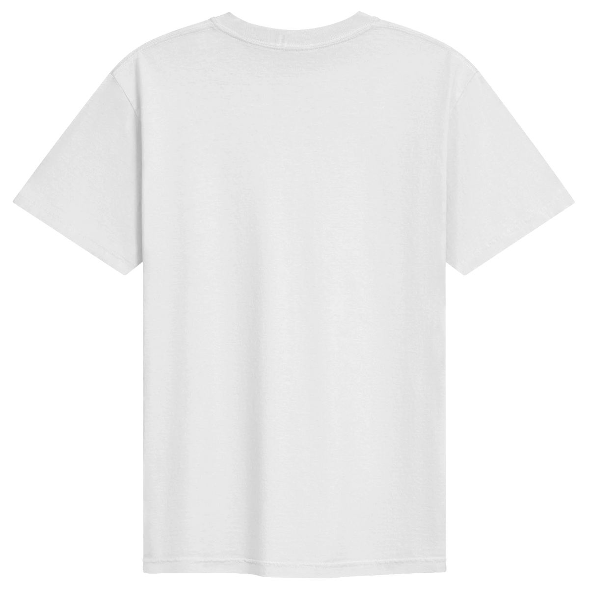Dragon of the Fallen Castle - T-Shirt