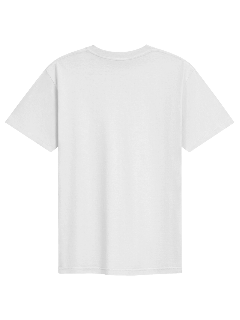 Dragon of the Fallen Castle - T-Shirt