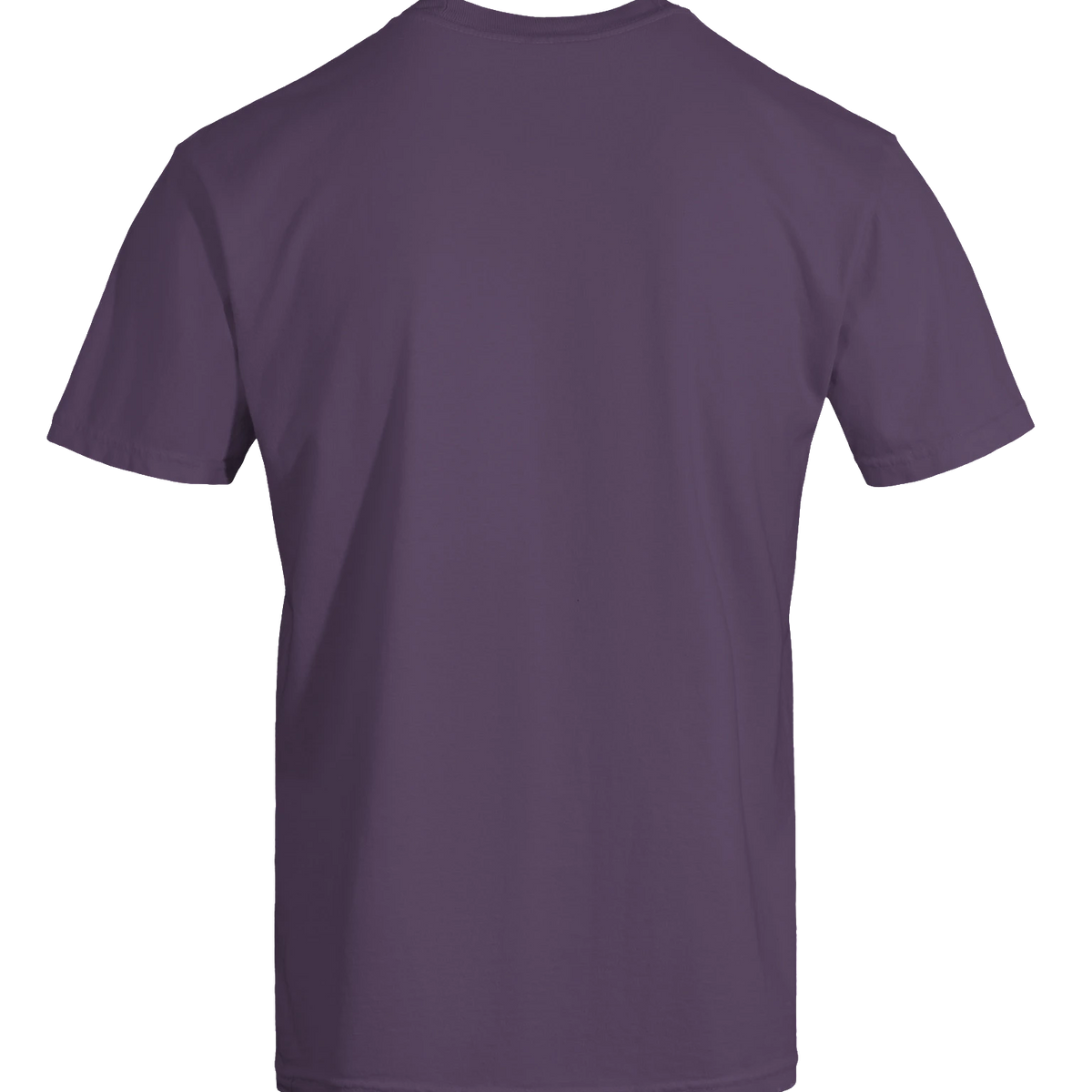 Dragon of the Fallen Castle - T-Shirt