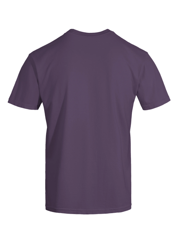 Dragon of the Fallen Castle - T-Shirt