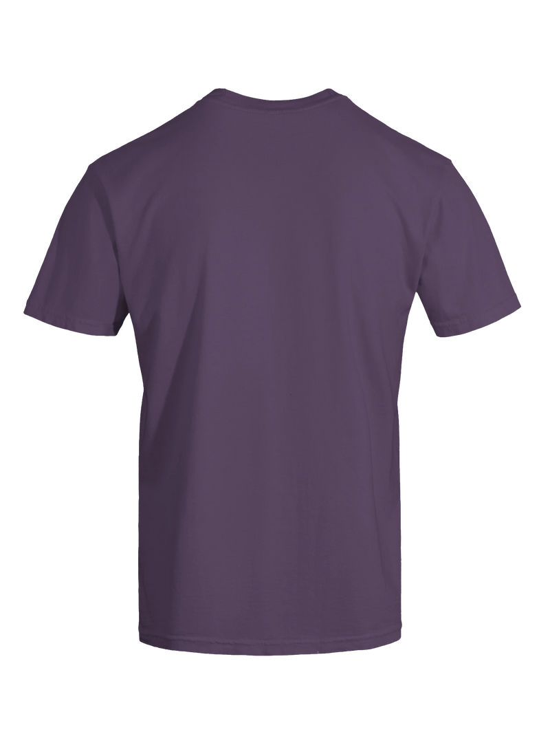 Dragon of the Fallen Castle - T-Shirt