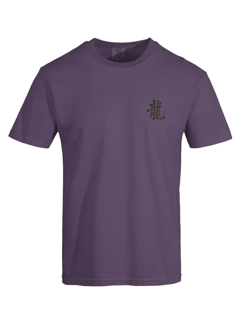 Dragon of the Fallen Castle - T-Shirt