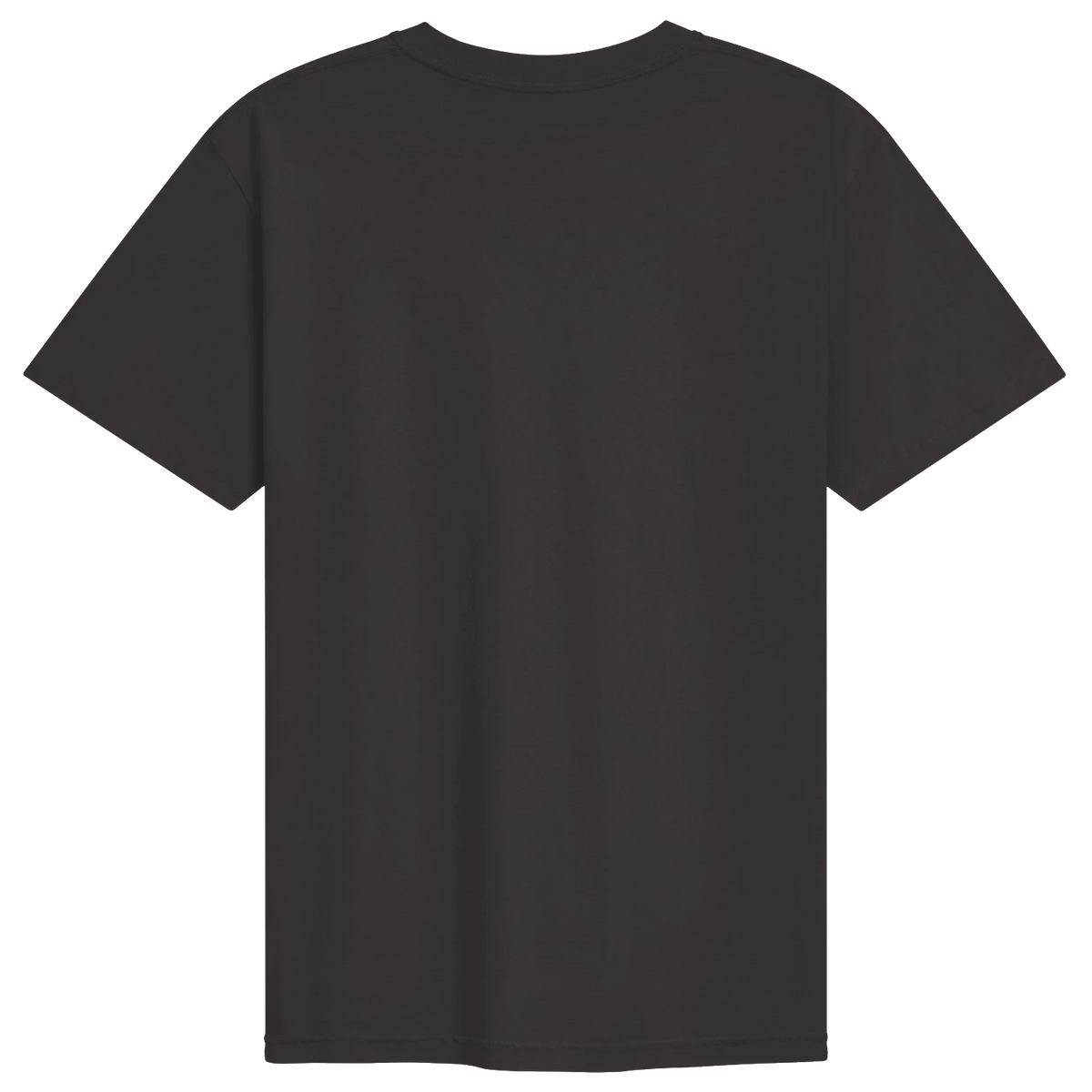 Dragon of the Fallen Castle - T-Shirt