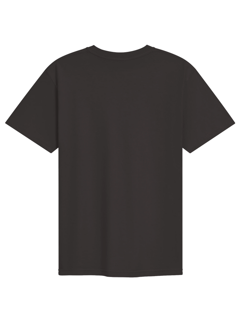 Dragon of the Fallen Castle - T-Shirt