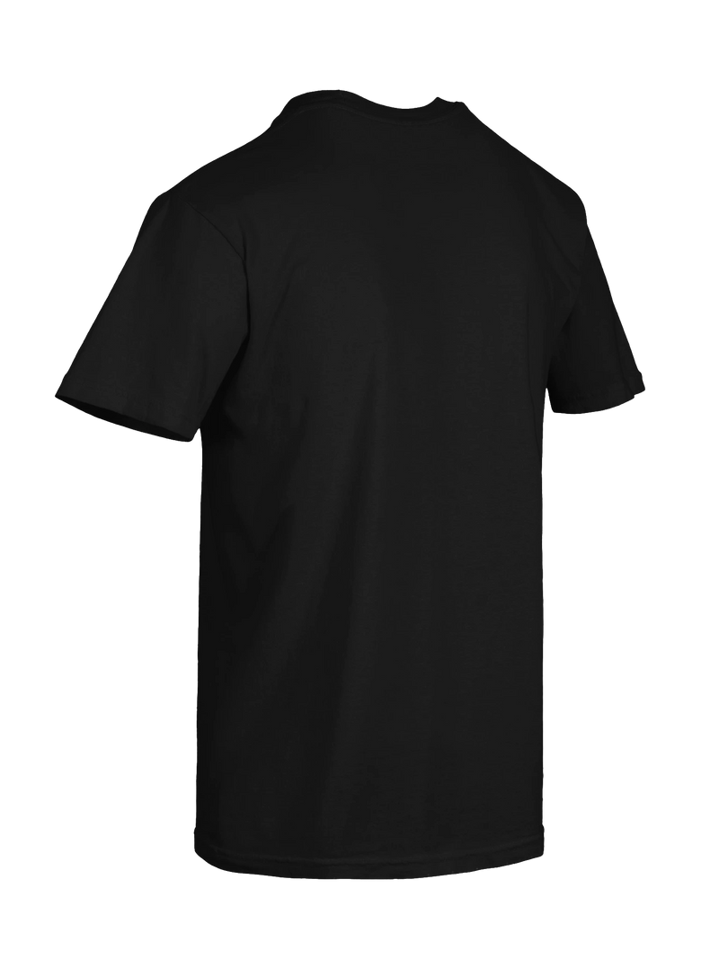 Dragon of the Fallen Castle - T-Shirt