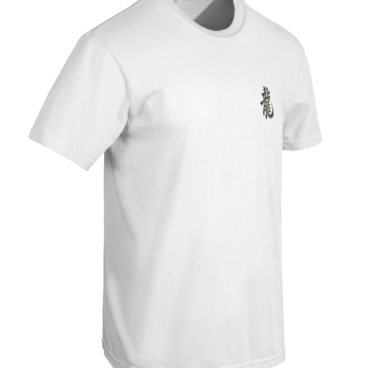 Dragon of the Fallen Castle - T-Shirt