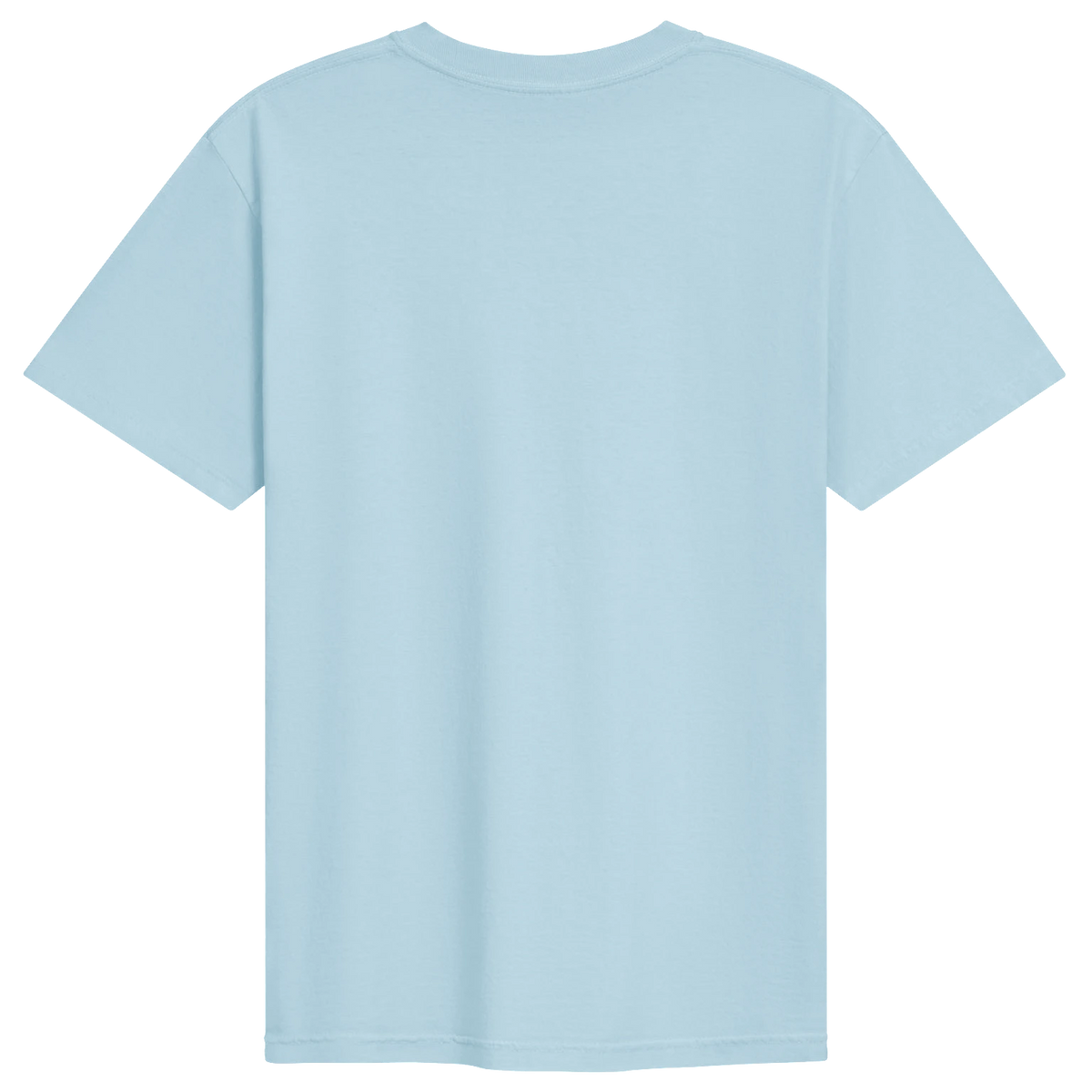 Dragon of the Fallen Castle - T-Shirt