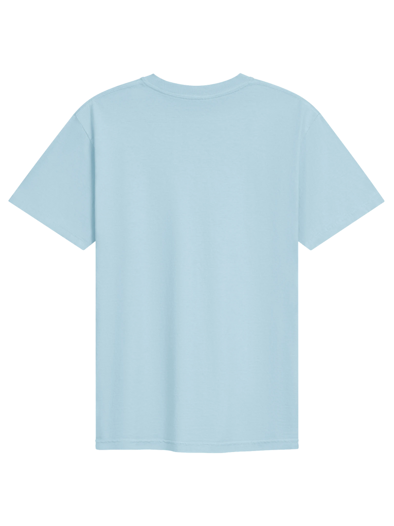 Dragon of the Fallen Castle - T-Shirt
