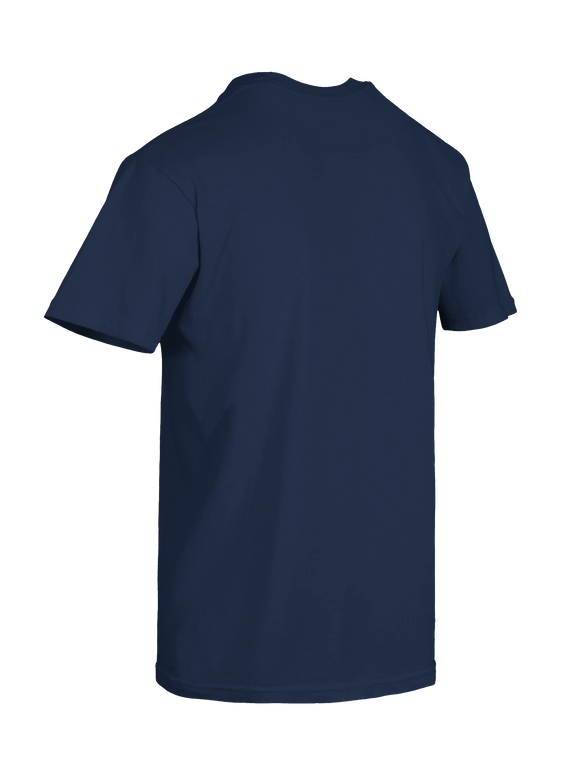 Dragon of the Fallen Castle - T-Shirt