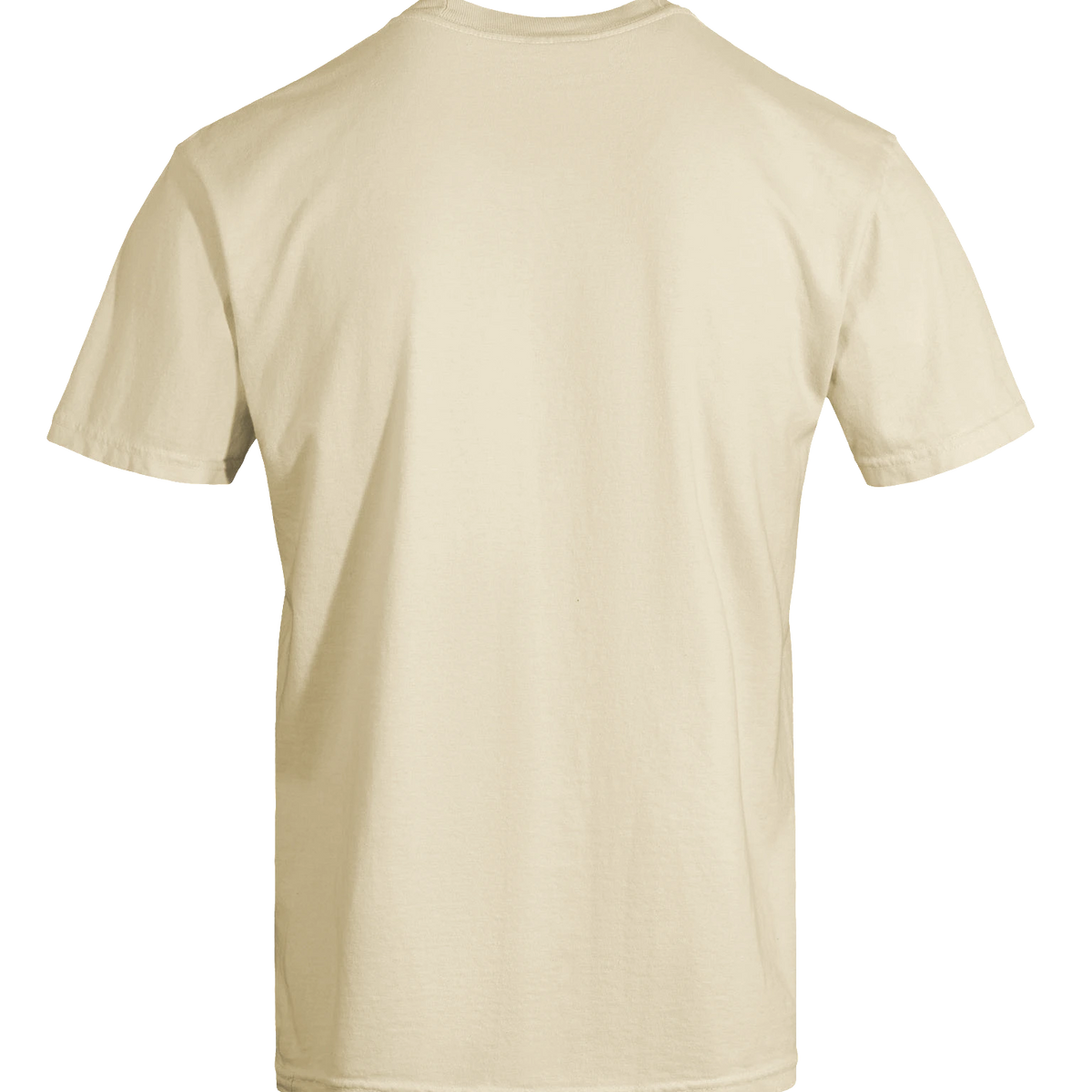 Dragon of the Fallen Castle - T-Shirt