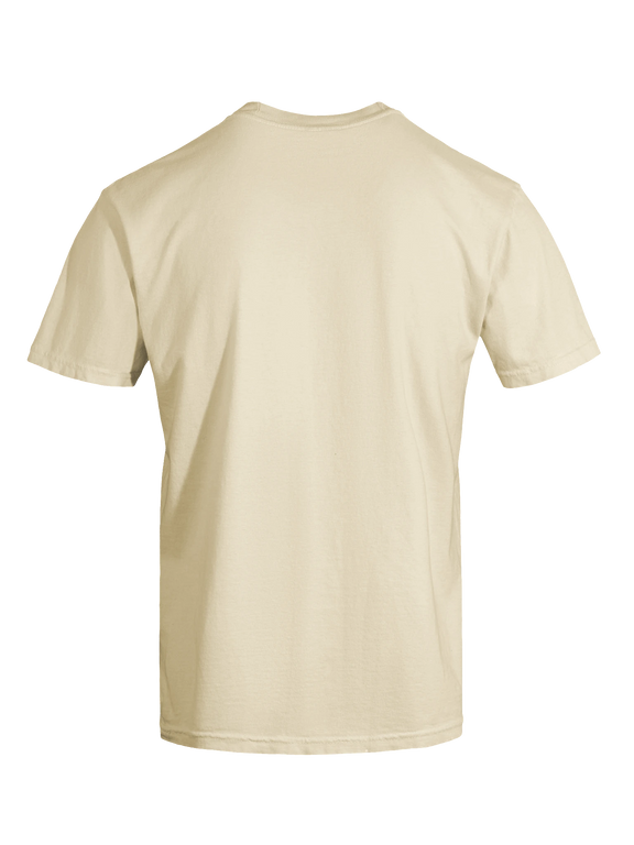 Dragon of the Fallen Castle - T-Shirt