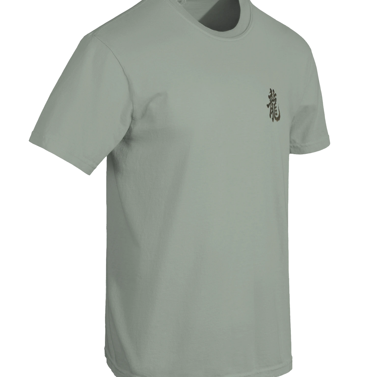 Dragon of the Fallen Castle - T-Shirt