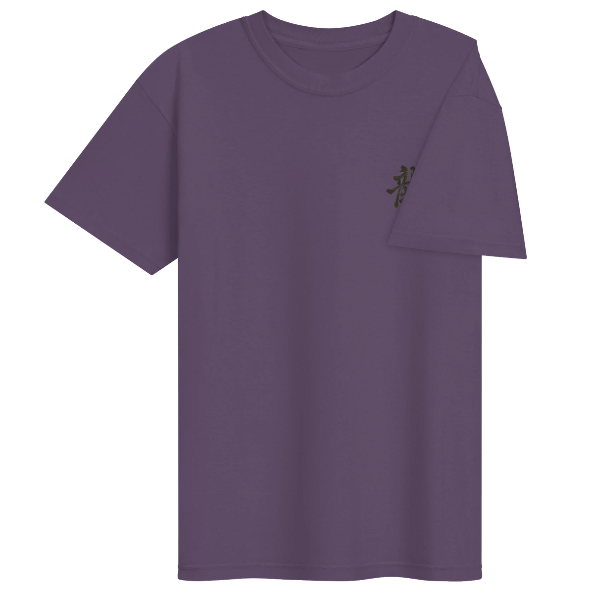 Dragon of the Fallen Castle - T-Shirt
