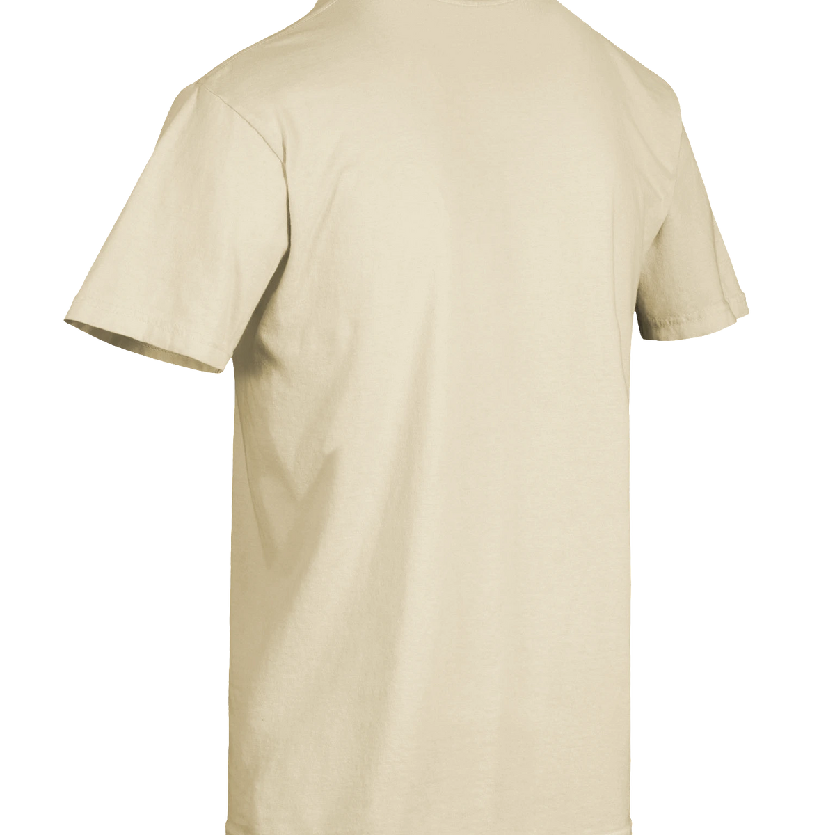 Dragon of the Fallen Castle - T-Shirt